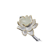 Argint Bijuterie romantic pentru momente speciale